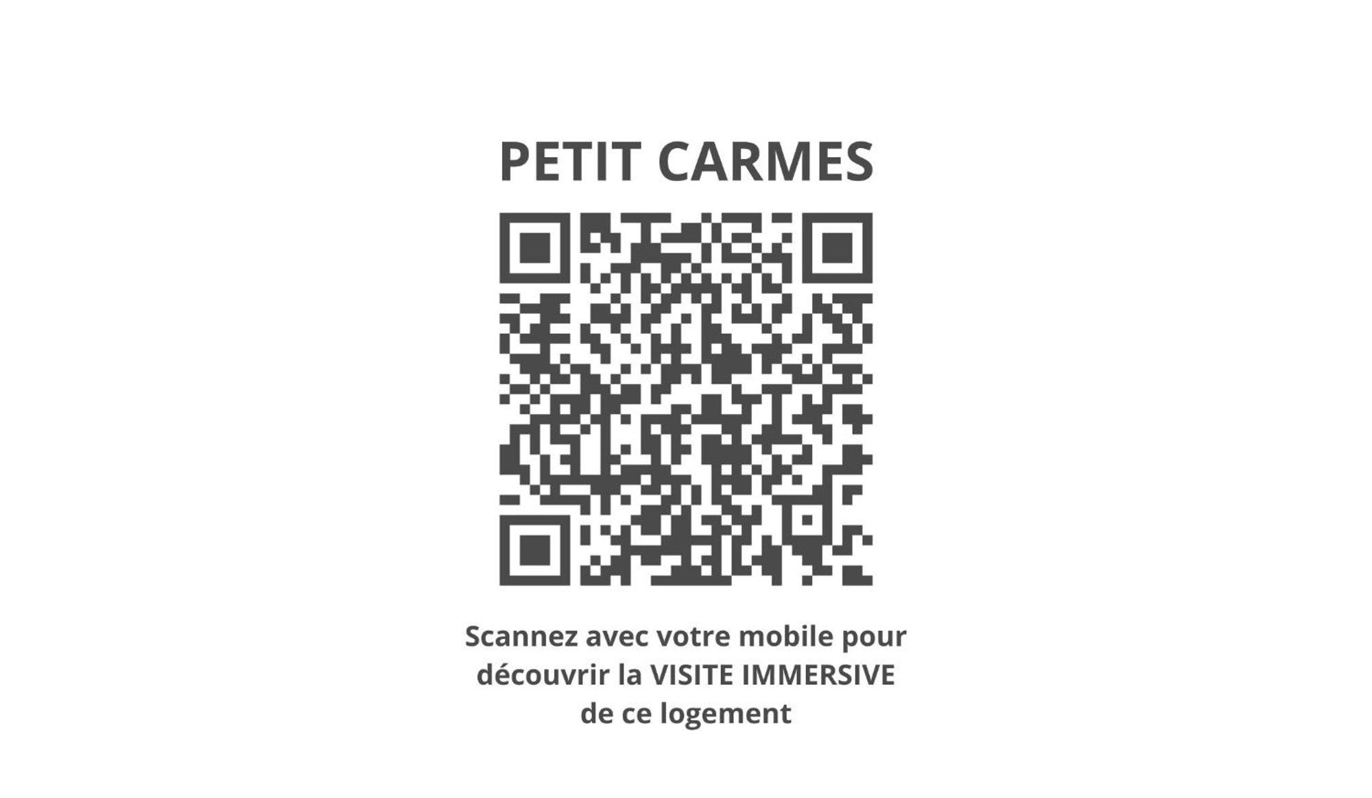 Le Petit Carmes - Joli Studio De Caractere Тулуза Экстерьер фото